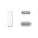Стилус Apple Pencil (MQLY3/MYQW3)