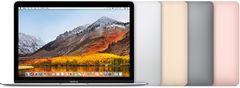 MacBook 12", 2017 (A1534)