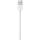 Кабель USB/Lightning (1 м)