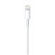 Кабель USB/Lightning (2 м)